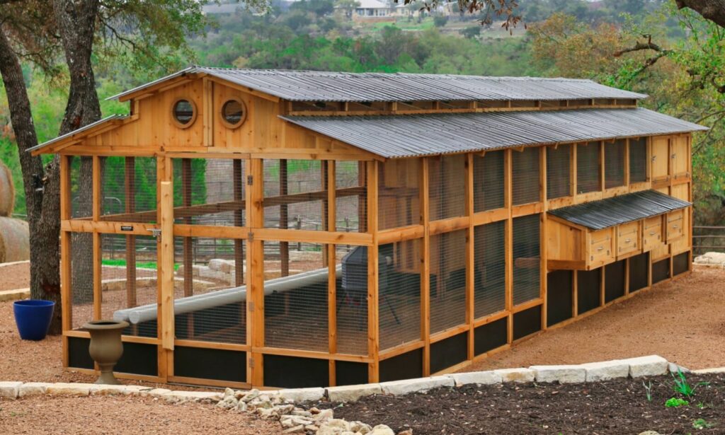 roost root heritage chicken coop 30 product shot e1740431241348